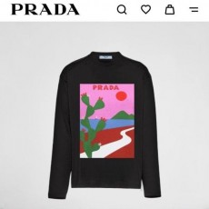 프** 선인장 긴팔티