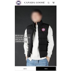 캐* 프리스타일 크루 베스트